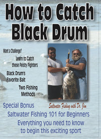 How To Catch Black Drum & Fishing 101 For Beginners