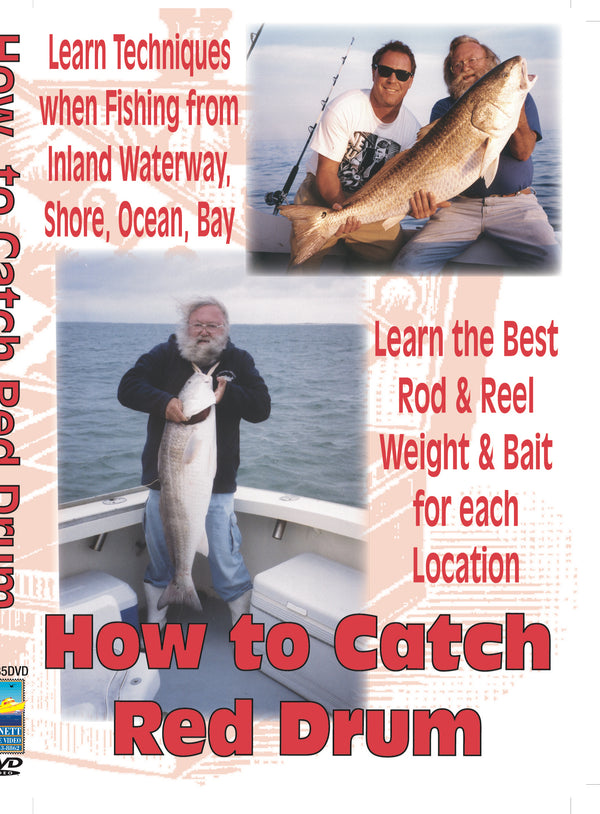 How To Catch Red Drum