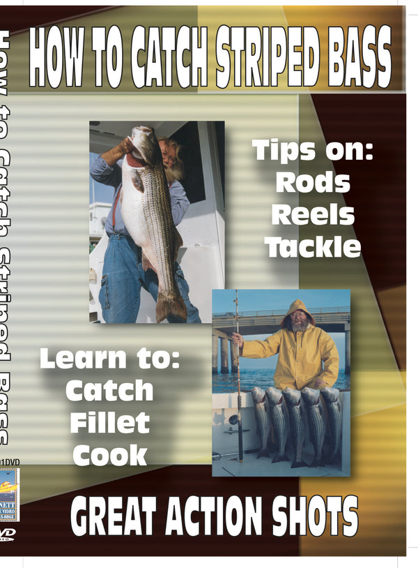 How To Catch Striped Bass Vol.1: Catch, Clean, Fillet & Cook