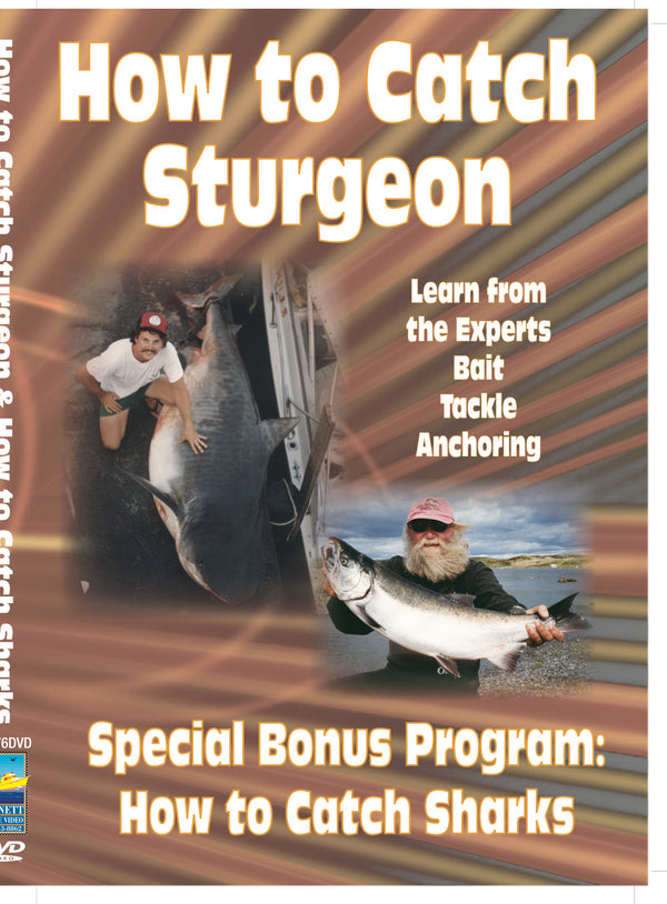 How To Catch Sharks & How To Catch Sturgeon